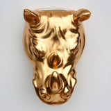 Golden Rhino Wall Planter