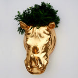 Golden Rhino Wall Planter