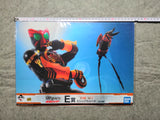 Bandai Ichiban Kuji S.H.Figuarts Prize E Kamen Rider Visual Sheet