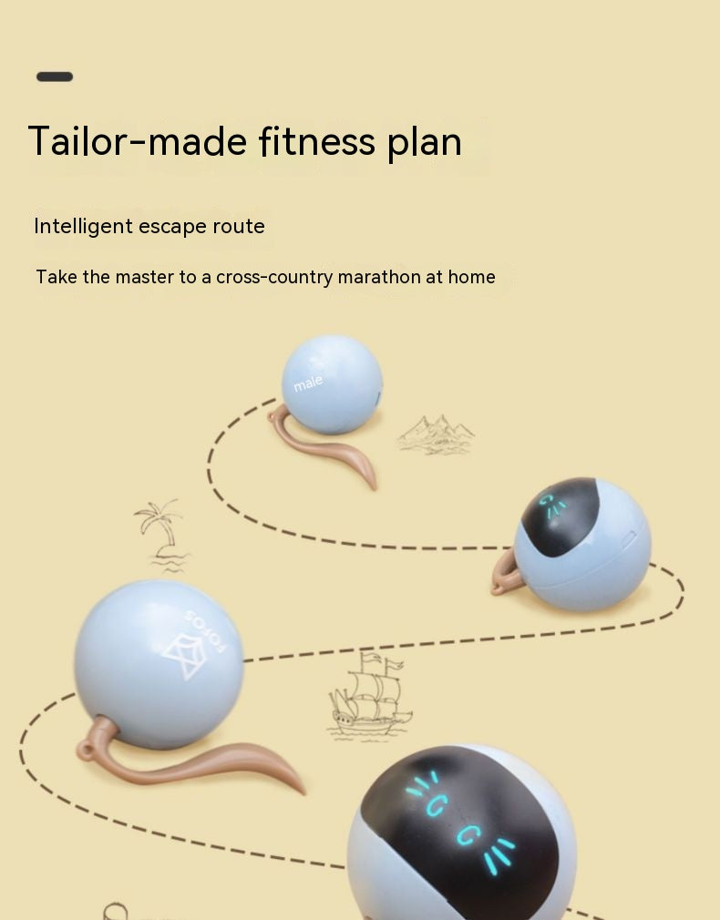 Cat Electric Toy Ball