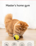 Cat Electric Toy Ball