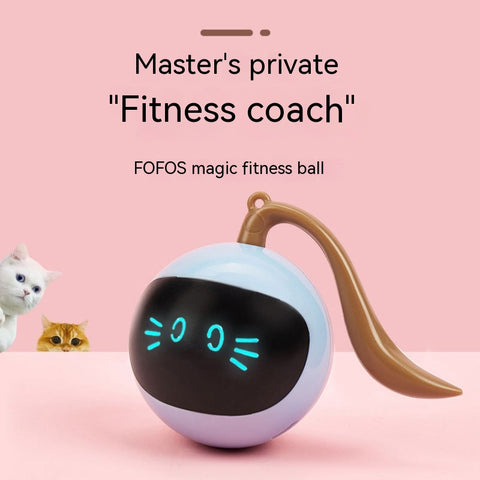 Cat Electric Toy Ball