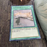 Shiba Inu Carpet