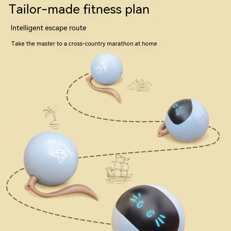 Cat Electric Toy Ball