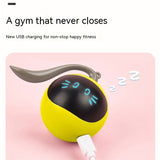 Cat Electric Toy Ball